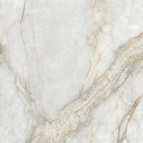 Marine - Close Up