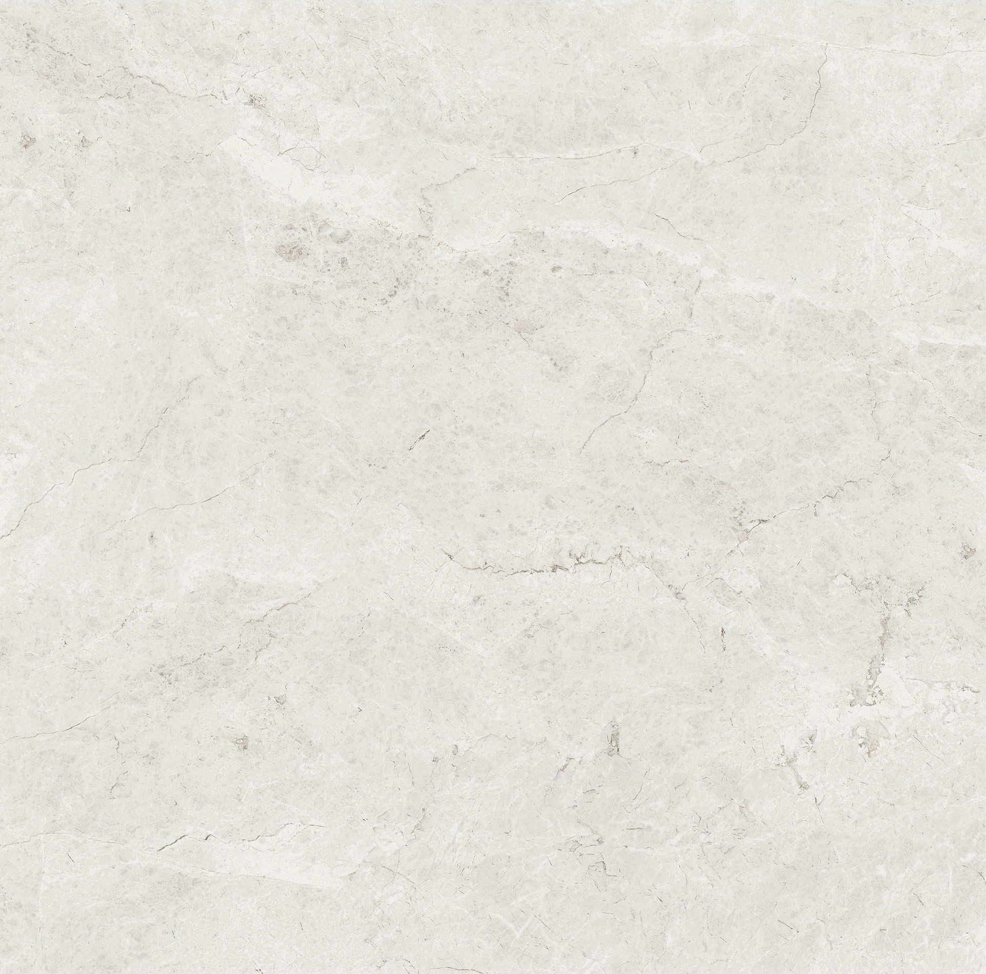 Tundra White - Close Up