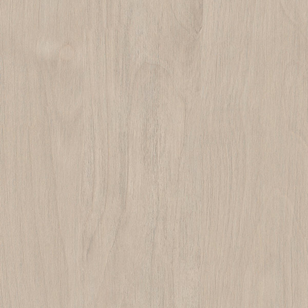 Angora Oak (Marq)