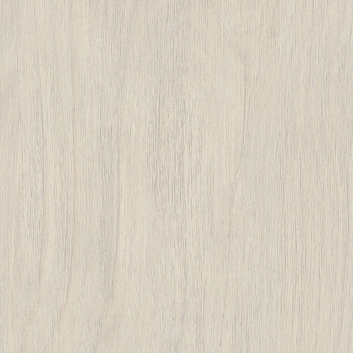 Angora Oak (Pier)