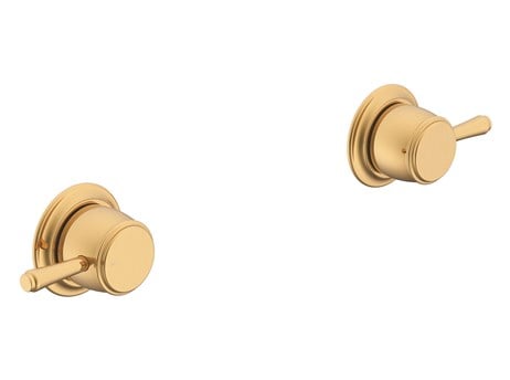 Eternal Wall Top Assembly (pr) Brushed Brass